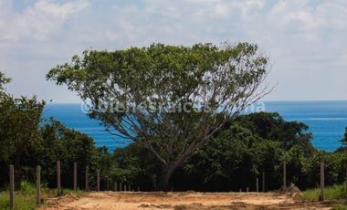 TERRENOS EN PLAYA AGUA BLANCA EN PUERTO ESCONDIDO