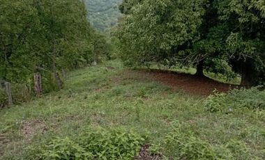VENTA  DE LOTES DE 800 MTS2