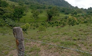 VENTA  DE LOTES DE 800 MTS2