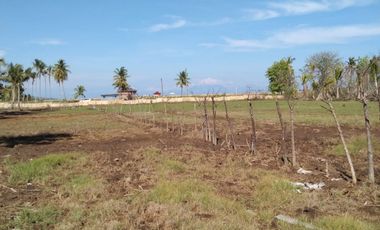 BIG SALE !!! Di Jual / Di Sewakan Tanah SHM (For Sale / For Rent)