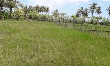 BIG SALE !!! Di Jual / Di Sewakan Tanah SHM (For Sale / For Rent)