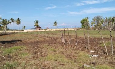 BIG SALE !!! Di Jual / Di Sewakan Tanah SHM (For Sale / For Rent)