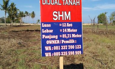 BIG SALE !!! Di Jual / Di Sewakan Tanah SHM (For Sale / For Rent)