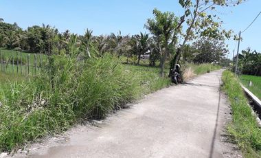 BIG SALE !!! Di Jual / Di Sewakan Tanah SHM (For Sale / For Rent)