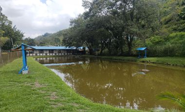 ALQUILER CABAÑAS VILLA PANCE VALLE DEL CAUCA DESCANSO Y EVENTOS