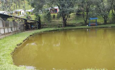 ALQUILER CABAÑAS VILLA PANCE VALLE DEL CAUCA DESCANSO Y EVENTOS