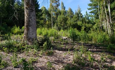 Hermosas Parcelas En Venta Lotes Alto Pedregoso