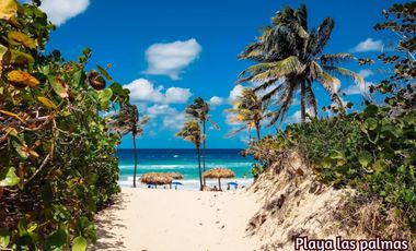 Local comercial con acceso independiente en venta, Aldea Zama, Tulum
