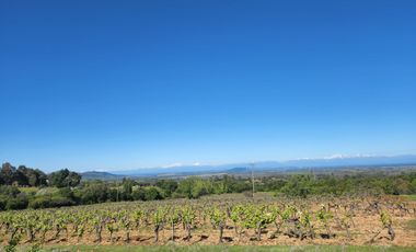 Parcelas rodeadas de viñas, con vista a la cordillera y al valle - Proyecto Viñedo Carrizal