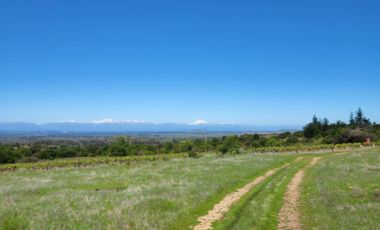 Parcelas rodeadas de viñas, con vista a la cordillera y al valle - Proyecto Viñedo Carrizal