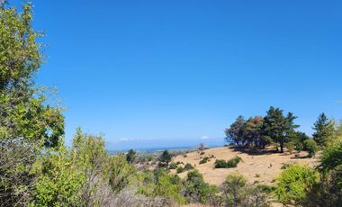 Parcelas rodeadas de viñas, con vista a la cordillera y al valle - Proyecto Viñedo Carrizal