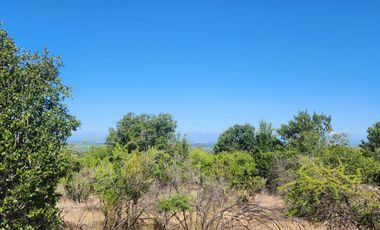 Parcelas rodeadas de viñas, con vista a la cordillera y al valle - Proyecto Viñedo Carrizal