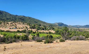 Parcelas rodeadas de viñas, con vista a la cordillera y al valle - Proyecto Viñedo Carrizal