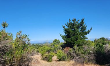 Parcelas rodeadas de viñas, con vista a la cordillera y al valle - Proyecto Viñedo Carrizal