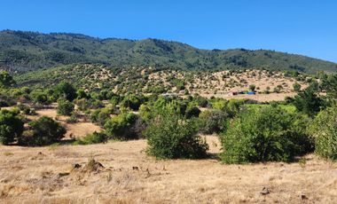 Parcelas rodeadas de viñas, con vista a la cordillera y al valle - Proyecto Viñedo Carrizal