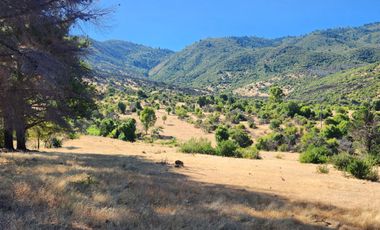 Parcelas rodeadas de viñas, con vista a la cordillera y al valle - Proyecto Viñedo Carrizal