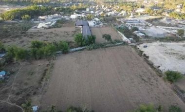 Prime Industrial Lot for Sale - Perfect For: Warehousing, Parking Facilities, or Industrial Development - Consolacion, Cebu, Philippines