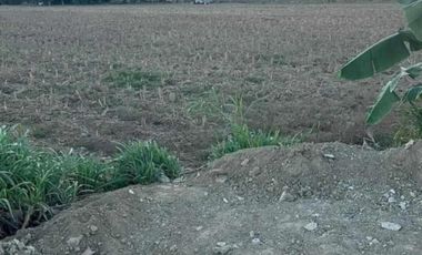 Prime Industrial Lot for Sale - Perfect For: Warehousing, Parking Facilities, or Industrial Development - Consolacion, Cebu, Philippines