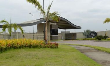 Vendo Terreno en Isla Mocoli - Barlovento