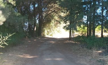 VENDO AMPLIA PARCELA CON CASA EN SAN MIGUEL SECTOR LOS MAQUIS EN LA COMUNA DE SAN IGNACIO