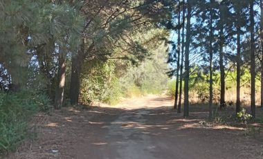 VENDO AMPLIA PARCELA CON CASA EN SAN MIGUEL SECTOR LOS MAQUIS EN LA COMUNA DE SAN IGNACIO