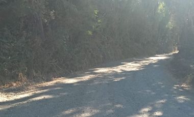 VENDO AMPLIA PARCELA CON CASA EN SAN MIGUEL SECTOR LOS MAQUIS EN LA COMUNA DE SAN IGNACIO