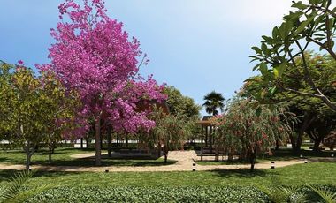 Terreno de venta en Isla Mocolí