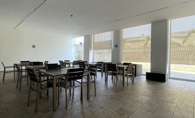 Renta departamento Santa Lucia