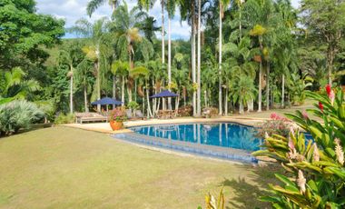 TE BRINDO LINDA FINCA LA DINASTIA LLAMANOS AL3004104395 DISPONIBLE PARA TU ESTADIA EN PLENO CONTACTO CON LA NATURALEZA