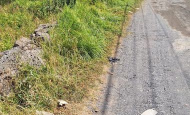 TERRENO EN VENTA EN SAN MIGULE TOPILEJO