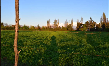 Vendo Parcelas En Sector Miraflores en Linares V 1628-P-35-O-LR.12.24