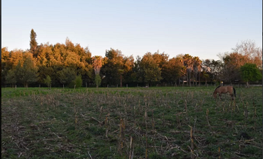 Vendo Parcelas En Sector Miraflores en Linares V 1628-P-35-O-LR.12.24