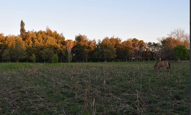 Vendo Parcelas En Sector Miraflores en Linares V 1628-P-35-O-LR.12.24