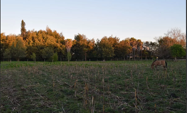 Vendo Parcelas En Sector Miraflores en Linares V 1628-P-35-O-LR.12.24