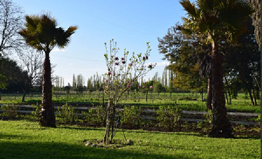 Vendo Parcelas En Sector Miraflores en Linares V 1628-P-35-O-LR.12.24