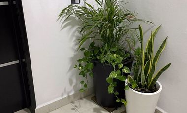 SE RENTAN ESTUDIOS SEMI AMUEBLADOS. Cancun, Q. Roo