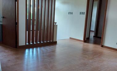 Brand New 4 Bedroom House in BF Homes HEVA Enclave For Sale (ARVIT-4BR-HVA-001)