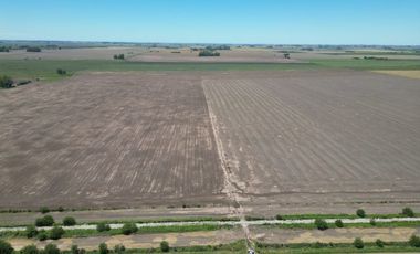 Campo de 149 Has mixto