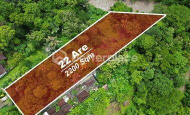 Prime 22 Are Land for Lease in Buwit – Tabanan with Stunning Jungle and River Views