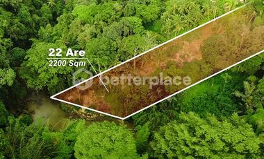 Prime 22 Are Land for Lease in Buwit – Tabanan with Stunning Jungle and River Views