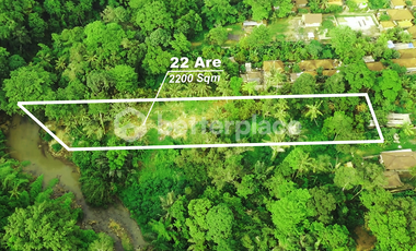 Prime 22 Are Land for Lease in Buwit – Tabanan with Stunning Jungle and River Views