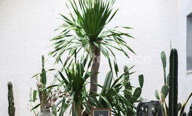 Exclusive Bali Living: Invest in a Sustainable Leasehold 1-Bed Luxury Villa Near Iconic Beaches