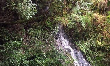 PROYECTO DE  PARCELAS CERCANO A PUCON DESCUENTOS ESPECIALES