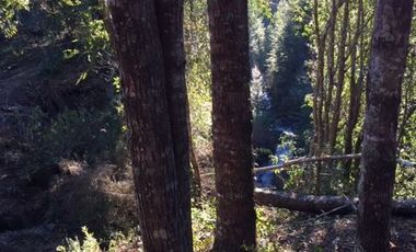 PROYECTO DE  PARCELAS CERCANO A PUCON DESCUENTOS ESPECIALES