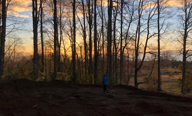 PROYECTO DE  PARCELAS CERCANO A PUCON DESCUENTOS ESPECIALES