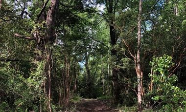 PROYECTO DE  PARCELAS CERCANO A PUCON DESCUENTOS ESPECIALES