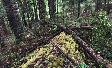 PROYECTO DE  PARCELAS CERCANO A PUCON DESCUENTOS ESPECIALES