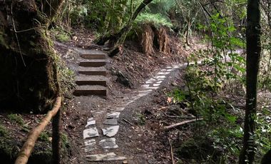 PROYECTO DE  PARCELAS CERCANO A PUCON DESCUENTOS ESPECIALES