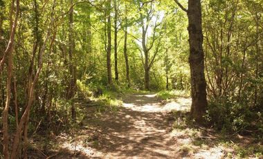 PROYECTO DE  PARCELAS CERCANO A PUCON DESCUENTOS ESPECIALES