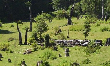 CAMPO PANQUI UN  PRIVILEGIO DE LA NATURALEZA